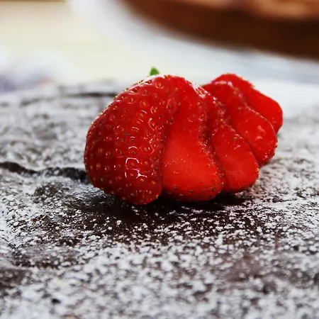 Hotel Design Astra 3*