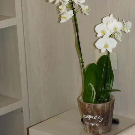 Design Astra Misano Adriatico