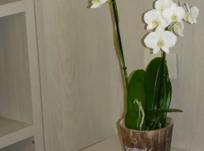 Design Astra Misano Adriatico